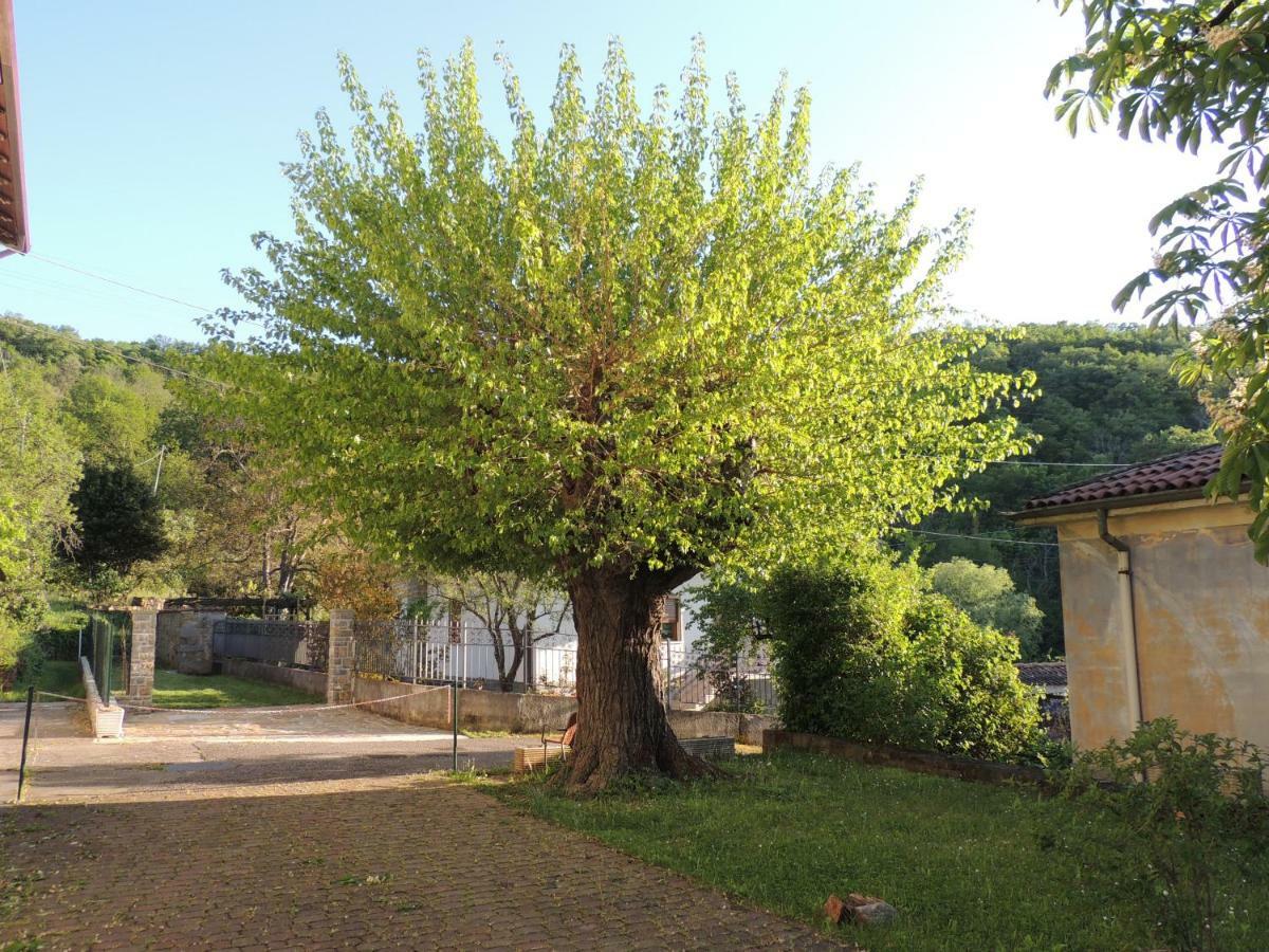 La Casa Di Nonna Bruna Múggia Dış mekan fotoğraf